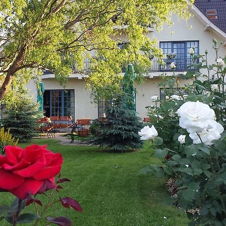 Villa Westfalia Guest House Tîrgu Secuiesc Exterior foto