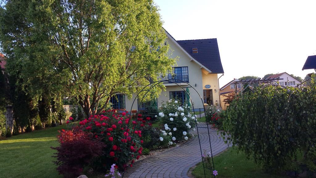 Villa Westfalia Guest House Tîrgu Secuiesc Exterior foto